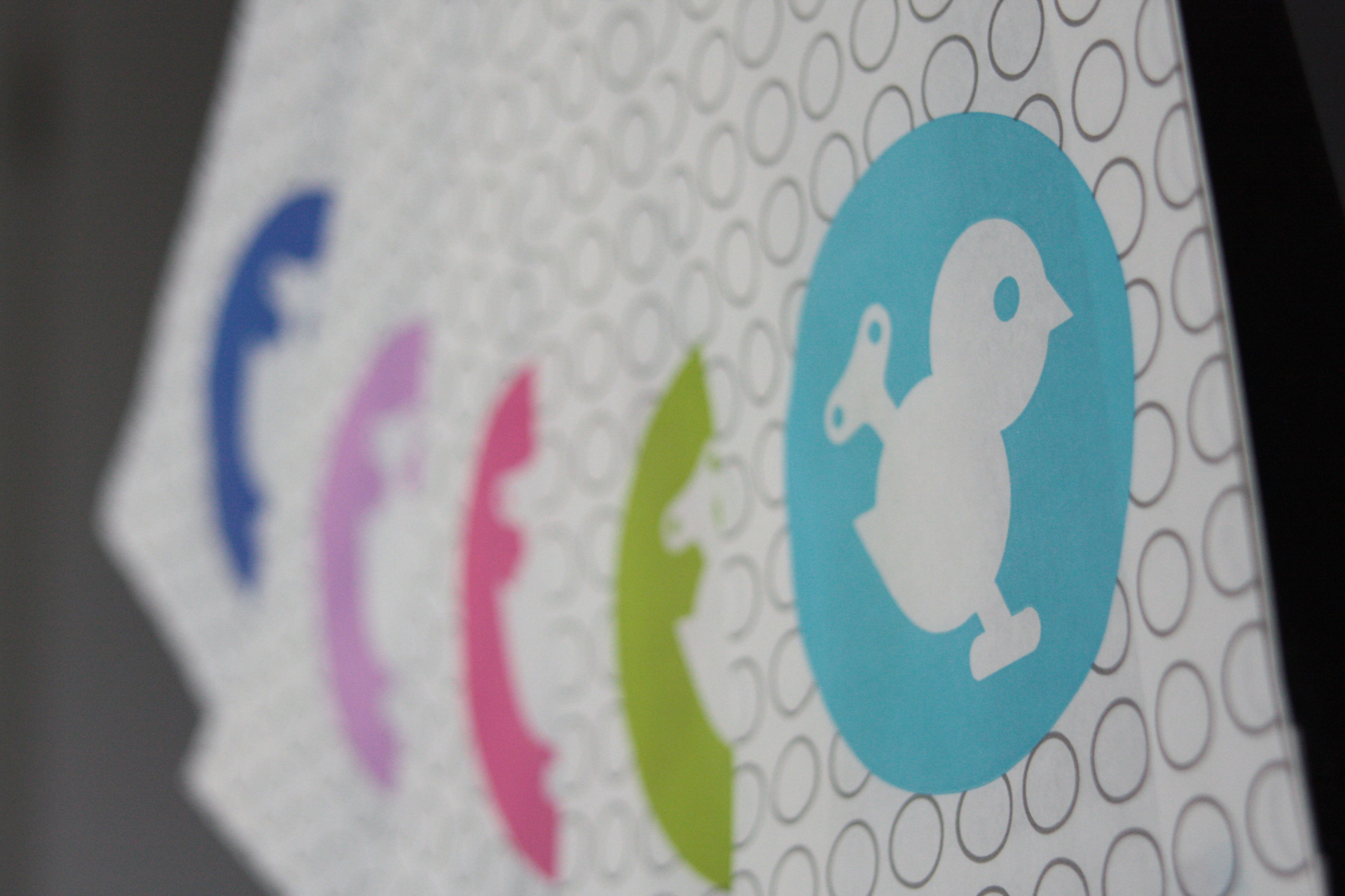 50208_piepmatz_Farbenübersicht